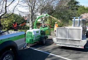 Greenmech chipper impresses Council staff