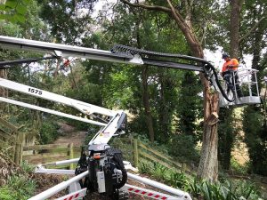 Spiderlift provides a competitive edge